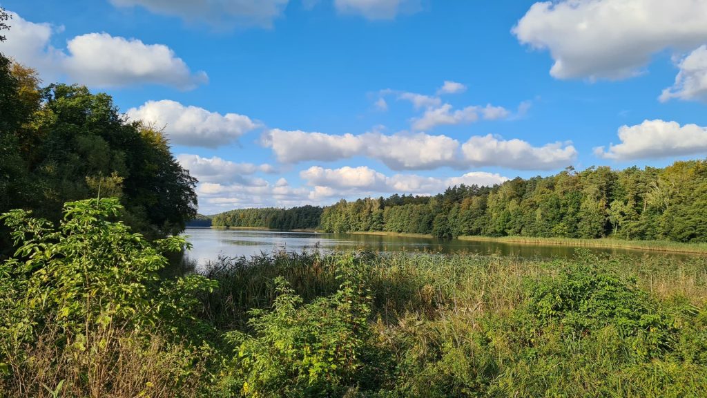 jezioro Zduńskie
