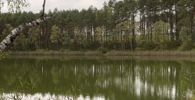 Jezioro Pieszczenko