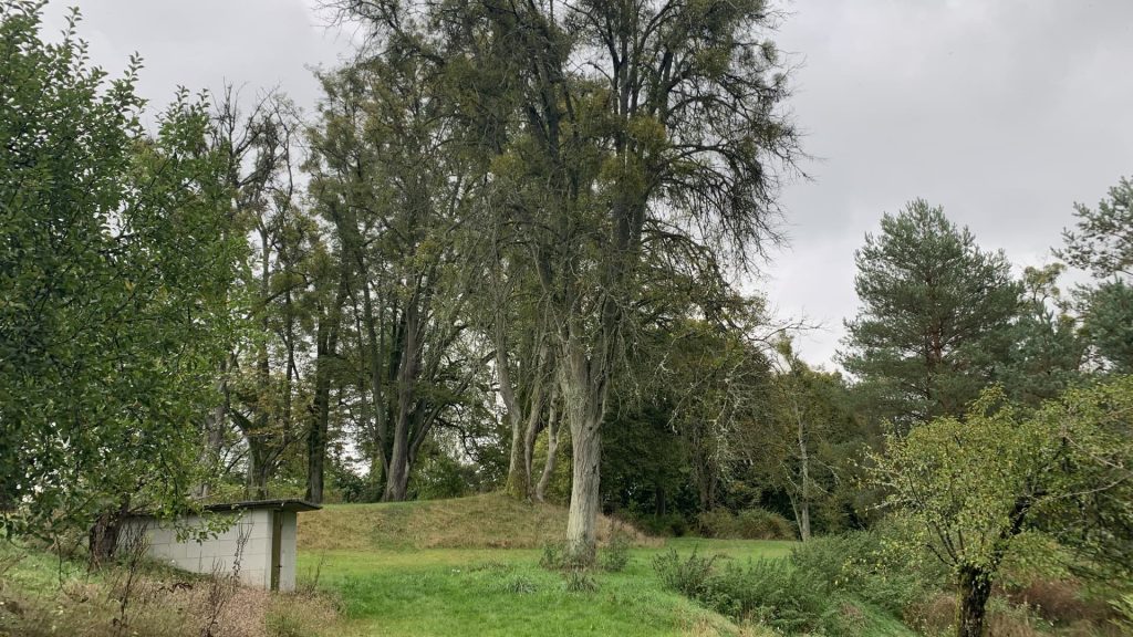 Agroturystyka Starorzecze