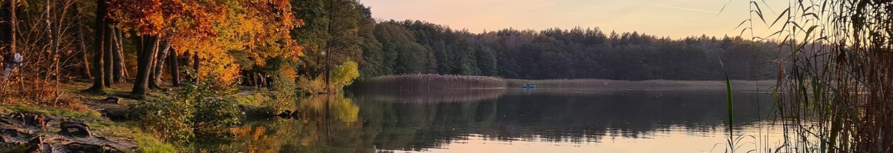 plaża jezioro trzechowskie