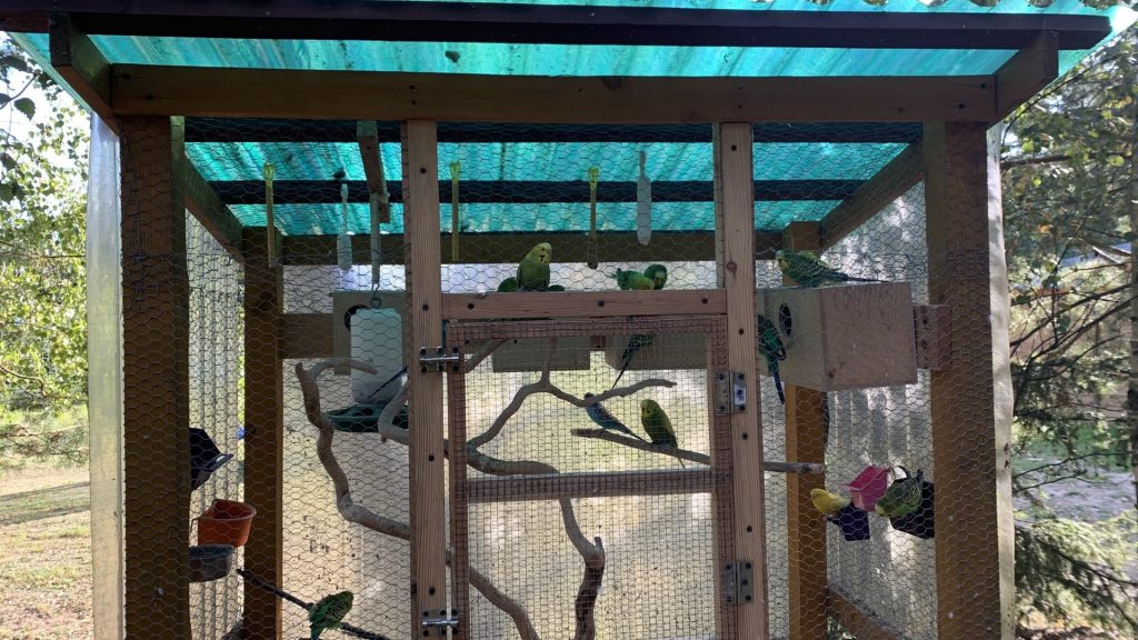 Pod orzechem Agroturystyka i winnica miradowo