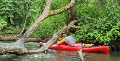 Sprzątamy Wierzycę