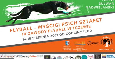 Flyball - Wyścigi psich sztafet - Tczew 2021