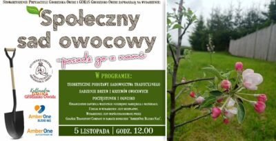 Sadzenie drzew i krzewów