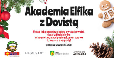 Akademia Elfika z Dovistą