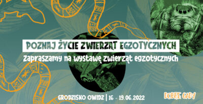 | Wystawa zwierząt egzotycznych  | Grodzisko Owidz |