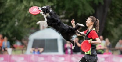 Seminarium Dog Dancing i Dogfriesbee w Starogardzie Gdańskim!