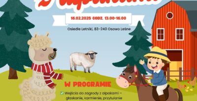 Ferie z Alpakami - Ranczo Zbyroza