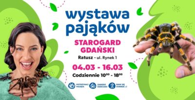 Wystawa Pająków w Starogardzie Gdańskim