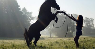 Gospodarstwo Agroturystyczne Stajnia Urbanowo