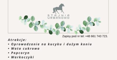 Zawody Hobby Horse, Festyn Rodzinny