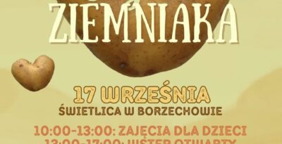 Dzień Ziemniaka w Borzechowie