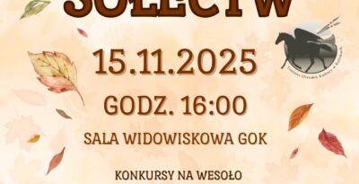 Turniej Sołectw w Kaliskach