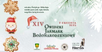 Koncert Krzysztofa Antkowiaka na Owidzkim Jarmarku Bożonarodzeniowy 2025