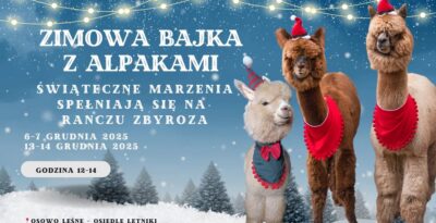 Zimowa Bajka z Alpakami - Ranczo Zbyroza