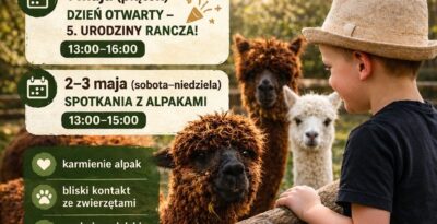 Majówka z Alpakmi 2026 - Ranczo Zbyroza