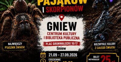 TARANTULA EXPO – WYSTAWA ŻYWYCH PAJĄKÓW I SKORPIONÓW W GNIEWIE