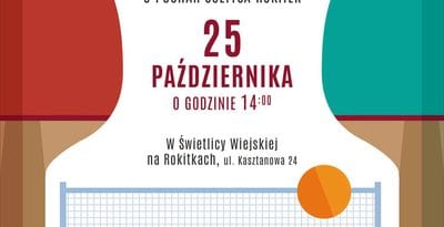 TURNIEJ TENISA STOŁOWEGO O PUCHAR SOŁTYSA ROKITEK